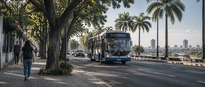 Avenida de Gran Asunción por la tarde con árboles, colectivos y peatones